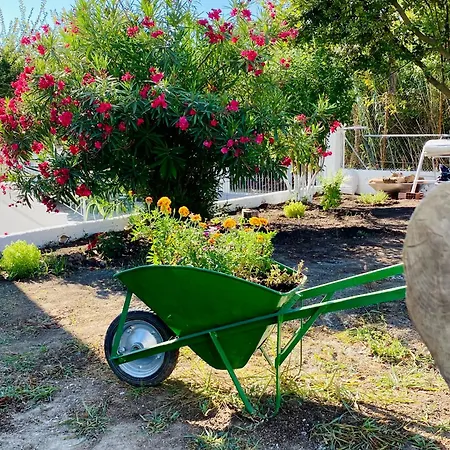 アパート Trigono Residencies ペロラデス