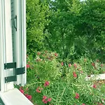 Appartement Trigono Residencies *