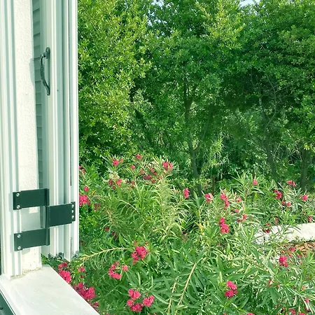דירה Trigono Residencies *